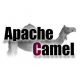 Cursos de Apache Camel en Chile