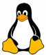 Cursos de Embedded Linux en Chile